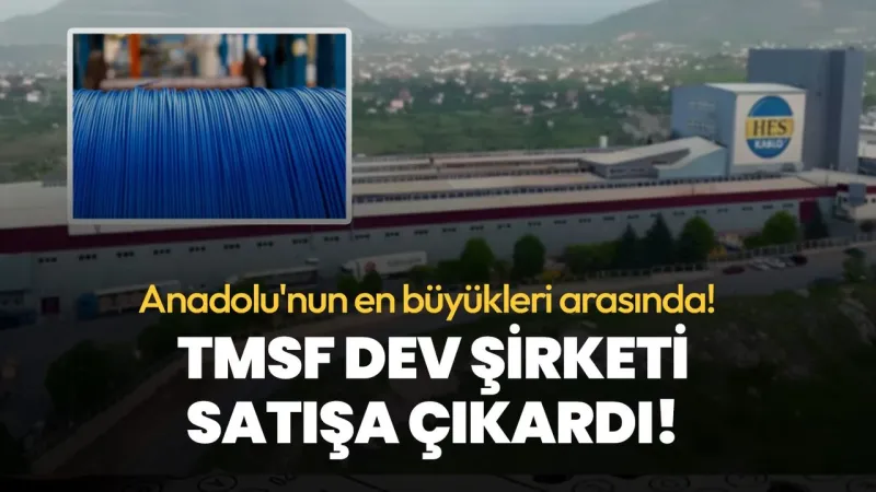 Dev Şirket Satılıyor! TMSF'den HES Kablo İçin Şok Karar!