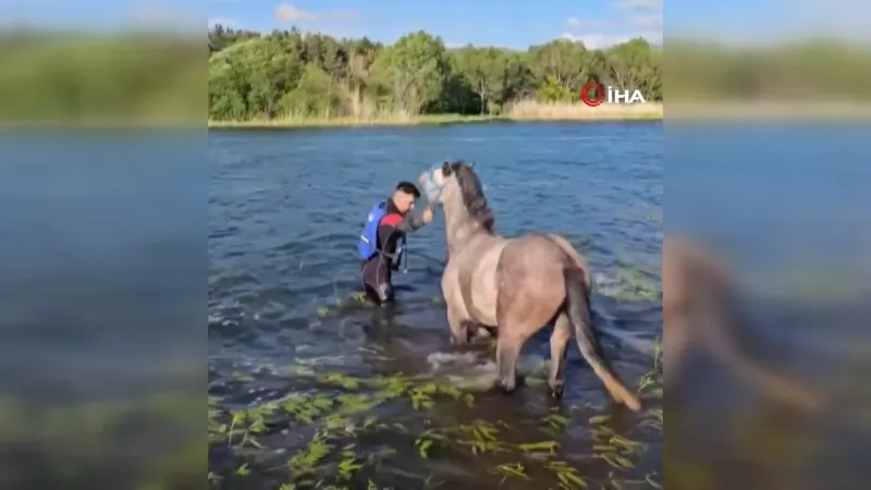 Ardahan'da Nefes Kesen Kurtarma! At Adada Mahsur Kaldı!