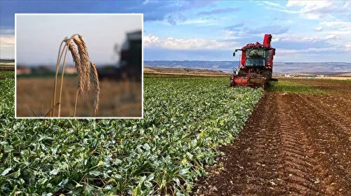 Çiftçiye Müjde! 5.5 Milyar TL Destek Ödemesi Hesaplara Yatıyor