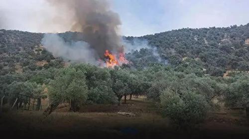İzmir'de korkutan yangın: Tüm ekipler seferber oldu