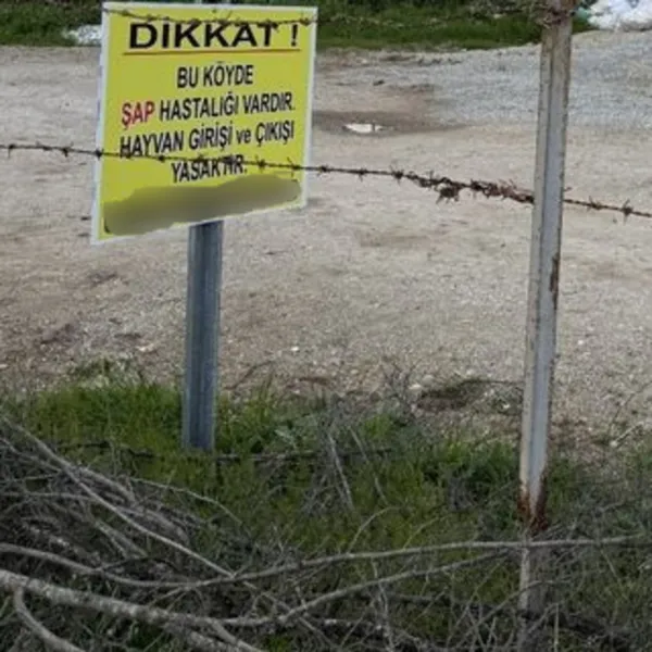 Karaman'da Şap Alarmı! 9 Köy ve 1 Belde Karantinada