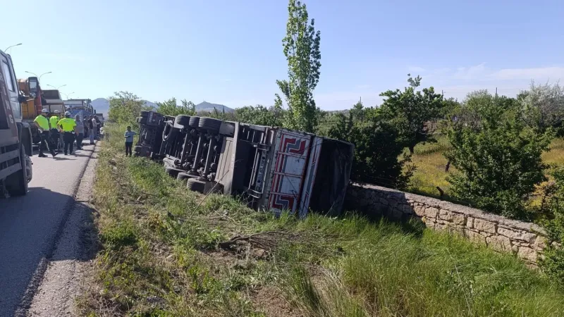 Angus Yüklü Tır Devrildi! Kaçan Anguslar Şehri Karıştırdı!