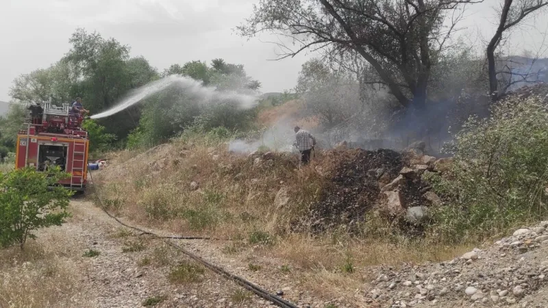 Bilecik'te Anız Yangını Tehlikesi! Ormanlar Kıl Payı Kurtuldu