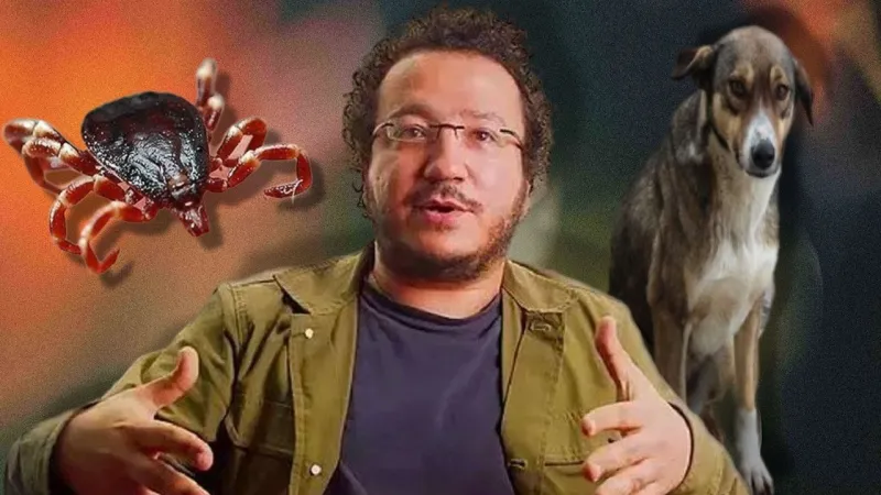 'Köpekleri öldürürseniz kene çoğalır' demişti… Oytun Erbaş haklı mı çıktı?