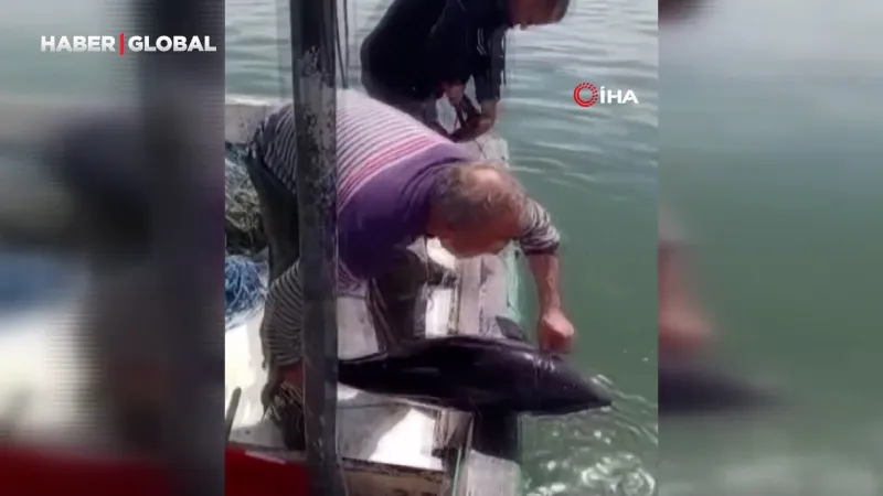 Karasu'da Balıkçıdan Yunusa Unutulmaz Veda: "Açıklarda Yüz!"