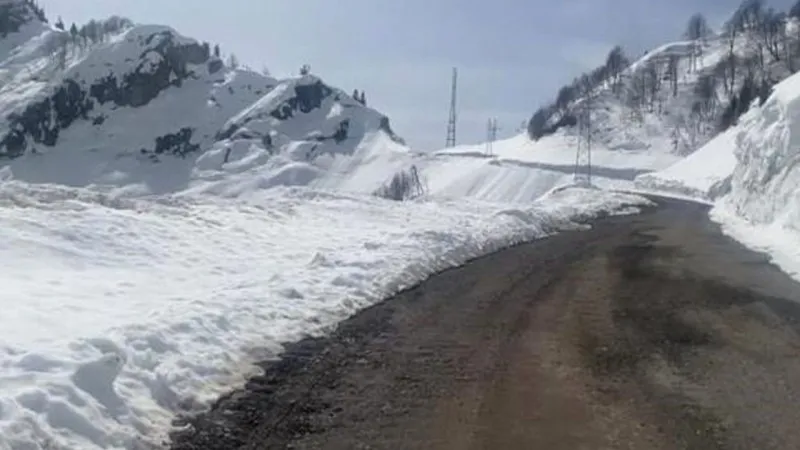 Artvin Borçka'da çığ faciası: 6 köy ulaşıma kapandı