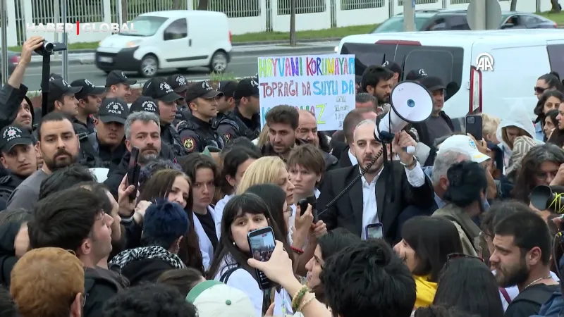 AYM Kararı Hayvanseverleri Kızdırdı! Sahipsiz Hayvanlar Ne Olacak?