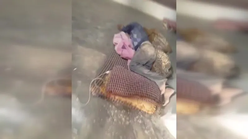 Batı Şeria'da İsrailli yerleşimciler Filistinli baba ve oğluna saldırdı