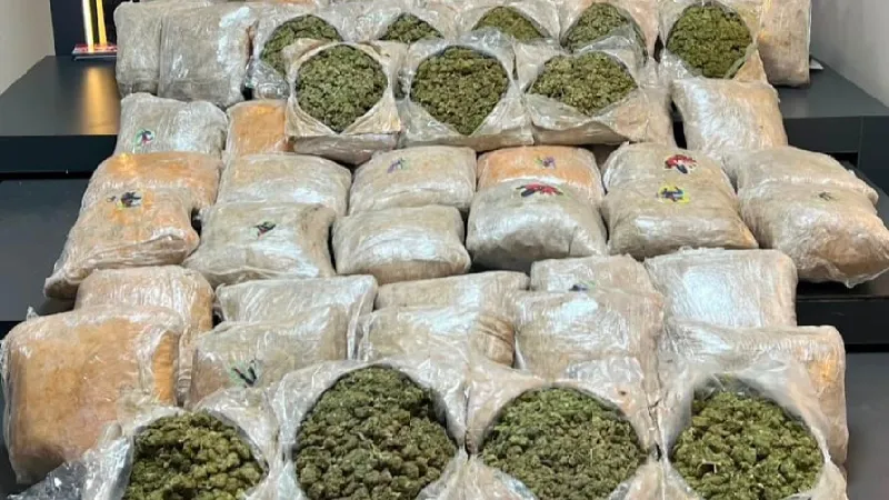 Batman'da Şok Baskın! 39 Kilo Skunk Ele Geçirildi, Tutuklamalar!