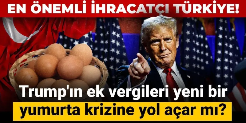 Türkiye'den ABD'ye Yumurta İhracatı Tehlikede mi? Trump Vergisi Şoku!