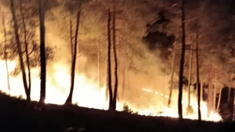 Kütahya'da Ormanlara Giriş Yasak! İşte Sebebi ve Süresi
