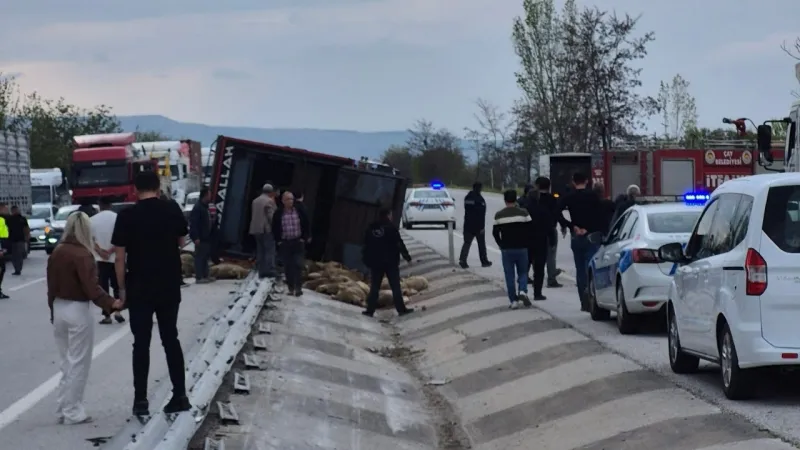 Afyon'da Kamyon Dehşeti! 53 Koyun Can Verdi, Gerisi Kesildi!