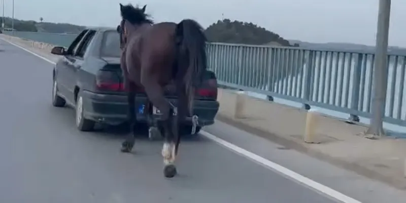 Adana'da Skandal! Araca At Bağlayanlara Ne Oldu? Şok Gelişme