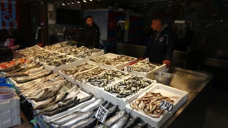 Karadeniz'de Balık Bereketi! Fiyatlar Dudak Uçuklatıyor!