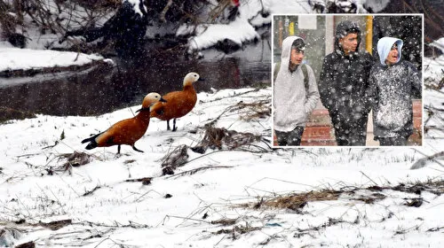 Kars ve Ardahan'da Bahar Sürprizi! Kar Beyazı Gelinlik Giydi