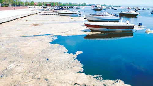 Müsilaj Kabusu Bitiyor Mu? İşte Yeni Kriterler!