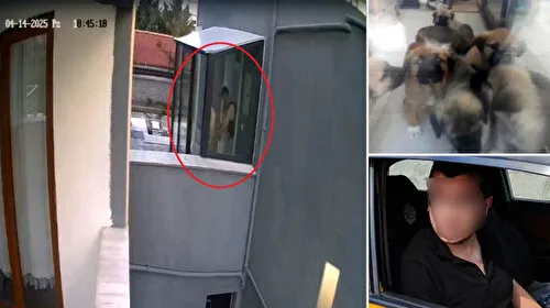 Köpek Katili mi? Doktorun Şok Savunması: Balkondan Kaçtılar!