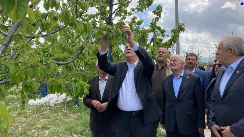 Don Afeti! Çiftçi Perişan, Ürünler Yok Mu Oldu?