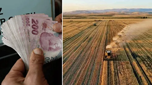 Tarım ve Orman Bakanlığı duyurdu: Çiftçilere tarımsal destek ödemesi yapılacak